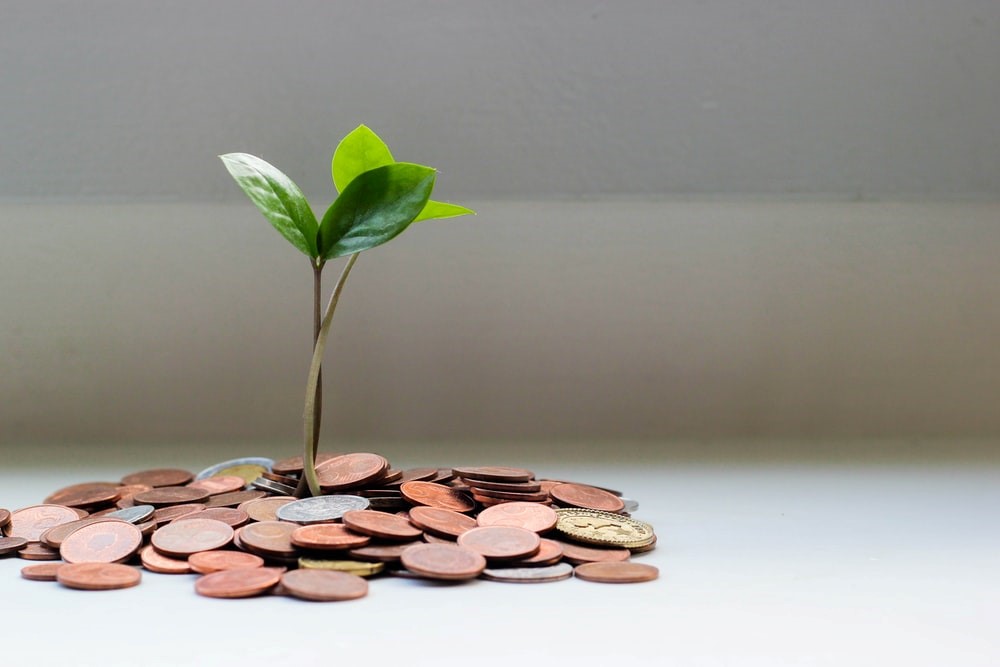 A plant sprouting from coins generated from booster club revenue.