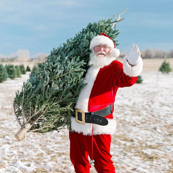 Holiday X-mas Tree Sale